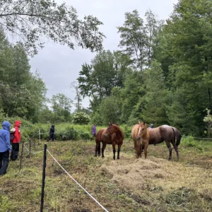 Voie des foulées |  Ferme Equi-Nature, Dunham