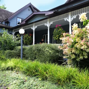 domaine jolivent