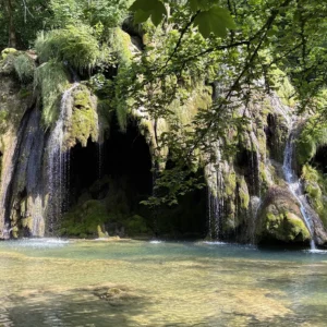 Formation | FRANCE, Jura, au Field les Toupes, 2026