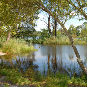 domaine hostens