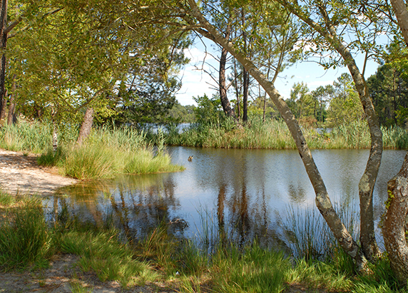 domaine hostens