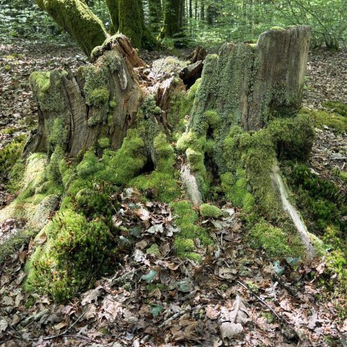 IMG_7866-scaled.jpeg