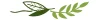 ligne-feuille-3.webp